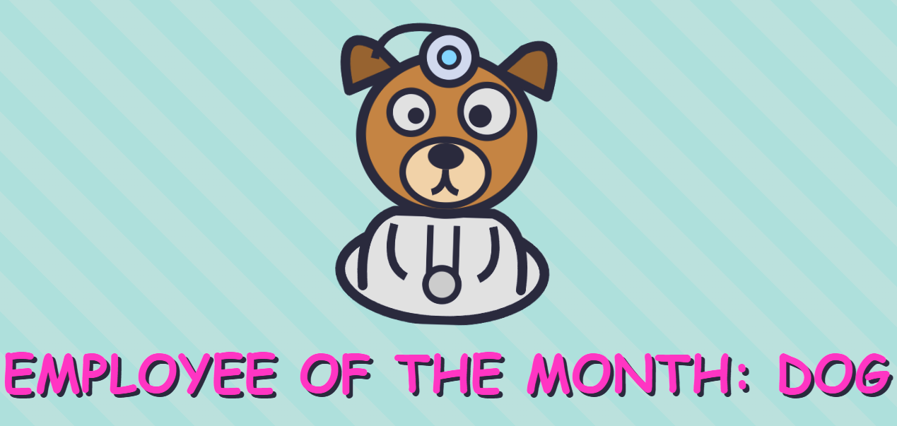 Dr. Dogter, M.D. key art